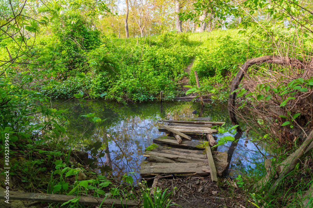 Broken wooden bridge over a small river in a green forest Broken wooden bridge over a small river in a green forest