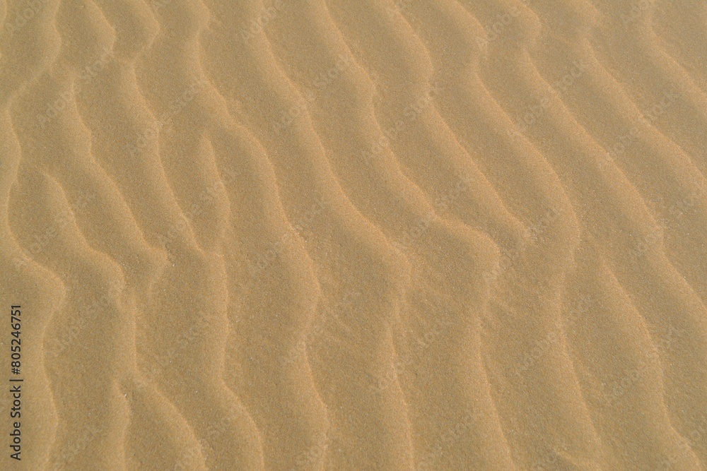 desert sand dunes texture on beach for summer background. vacation and relaxation time concept. sand ripples in the sand desert sand dunes texture on beach for summer background. vacation and relaxation time concept. sand ripples in the sand