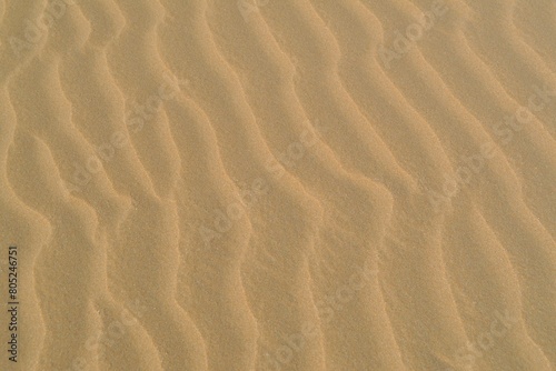 desert sand dunes  texture on beach for summer background. vacation and relaxation time concept. sand ripples in the sand © HDESINER