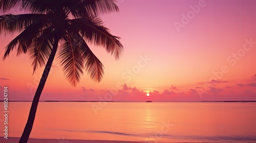 sunsky pink instagram