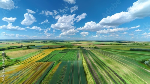 Beautiful aerial view of green area