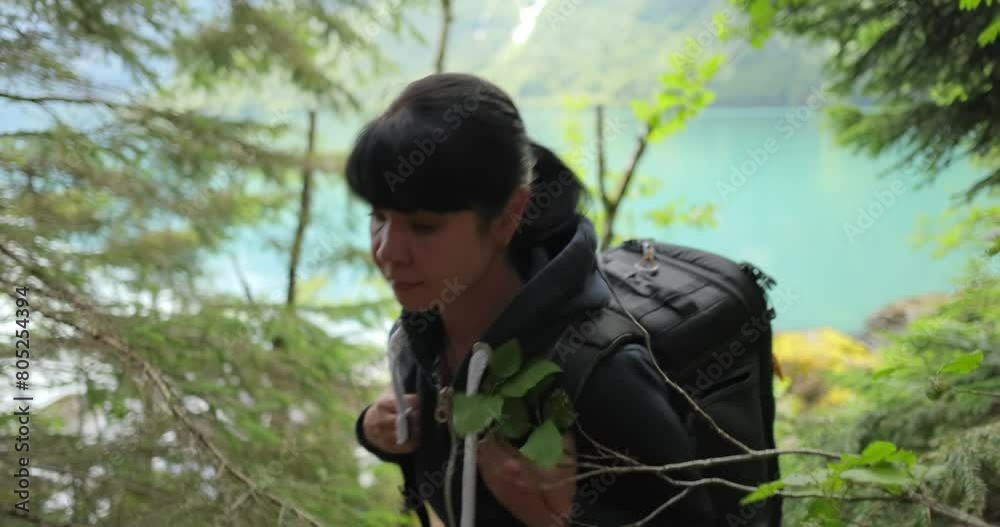 Hiking woman walk with a hiking backpack in spring green forest Hiking woman walk with a hiking backpack in spring green forest