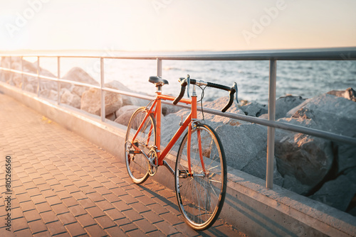 Vintage Wheels and Ocean Views: A Cycling Moment Captured in Time