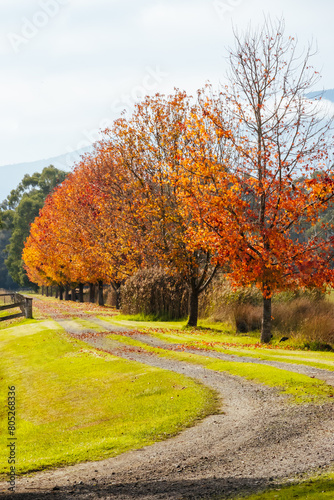 Lilydale to Warburton Rail Trail in Australia © FiledIMAGE