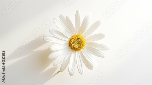 illuminate sun on white background © vectorwin