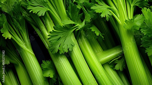 organic celeri celery fresh photo