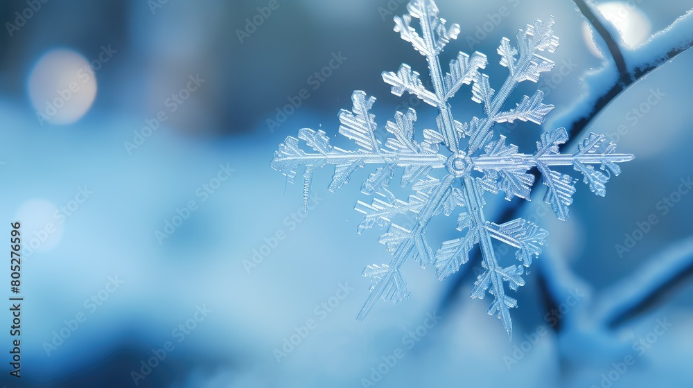 wter blue snow flakes In the second photo wter blue snow flakes In the second photo