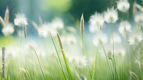 delicate grass flower farm