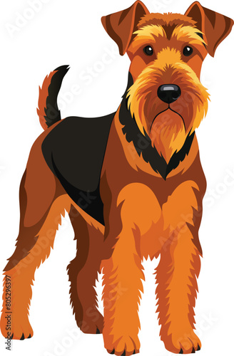 Airedale Terrier on a white background. Vector illustration.