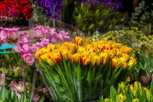 Colorful arrangements of tulips at the Amsterdam Flower Market   Bloemenmarkt   in Spring