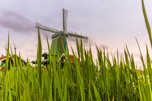 Photography Old wooden windmills in the town of Zaanse Schans in the Netherlands