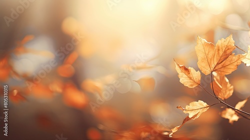 leaves brown blur