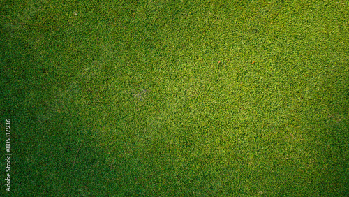 Green grass pattern and texture for background, top view background of garden bright grass concept.