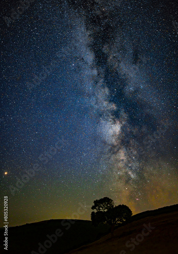 Milky Way arching into the sky above a tree lined ridge