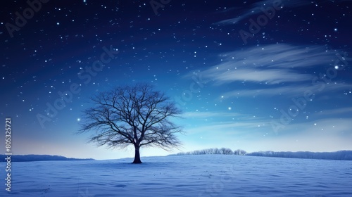 fresh snow and stars photo