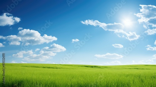 sun blue sky and grass photo