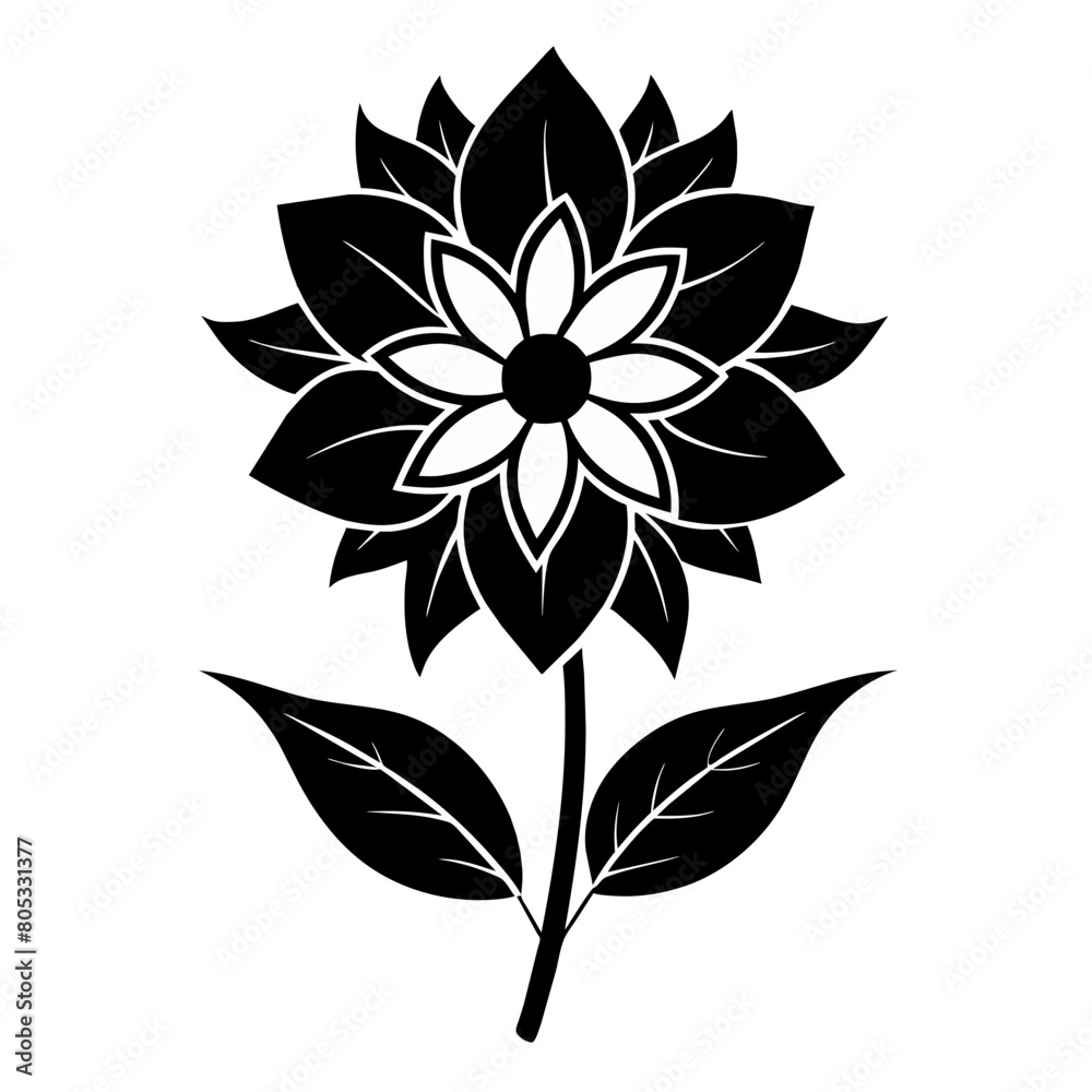 black and white flower isolated black and white flower isolated