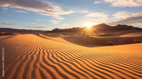 sandy arizona sun