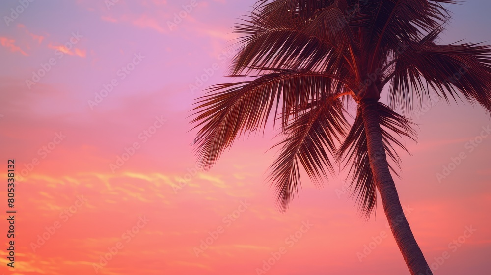 sunvibrant pink palm