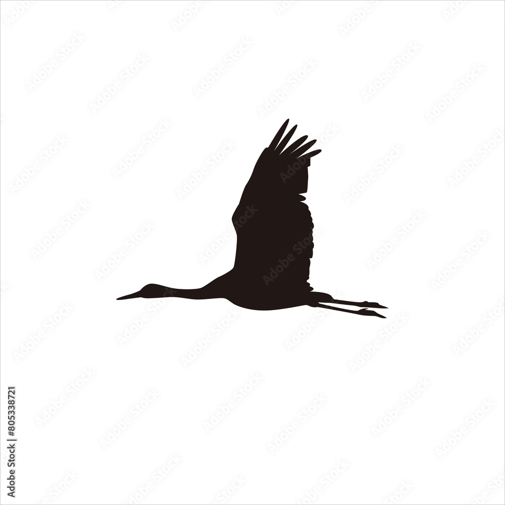 Fototapeta premium silhouette of a sandhill crane vector