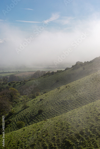 Early morning mist in the South Downs in springtime