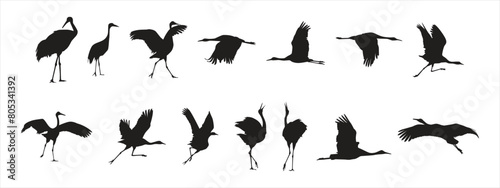 silhouette of a sandhill crane vector