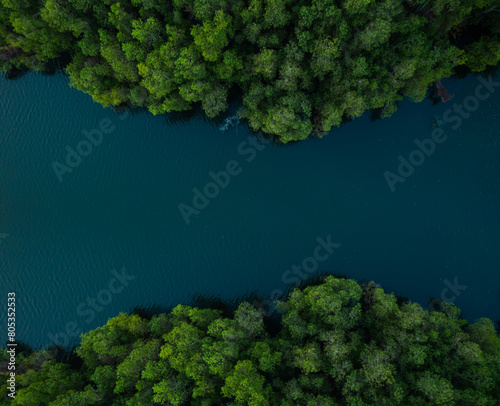 Aerial drone shot of blue water lake with green forest, Kerala nature landscape scenery
