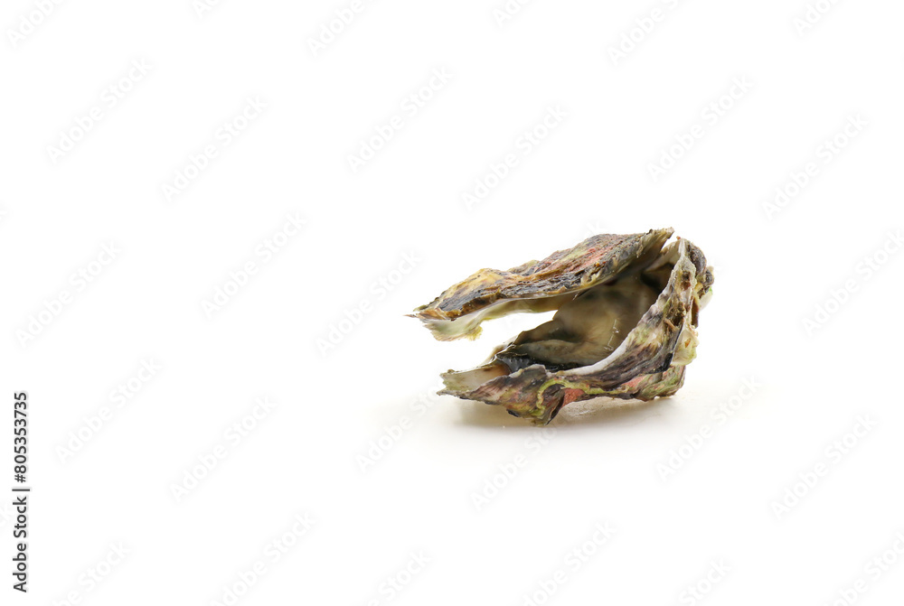 Fresh oysters isolated on a white background. Sea symptoms. Nourish the body. Fresh oysters isolated on a white background. Sea symptoms. Nourish the body.