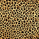 
Leopard background stylish pattern animal texture leopard skin