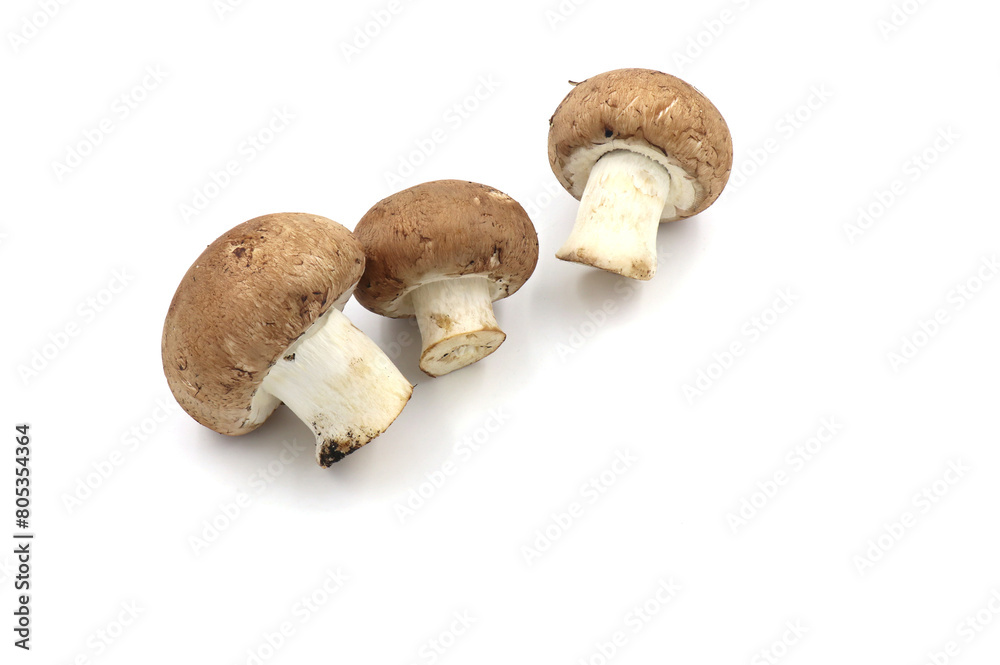 Fresh champignon mushrooms isolated on a white background. full depth of field. Fresh champignon mushrooms isolated on a white background. full depth of field.