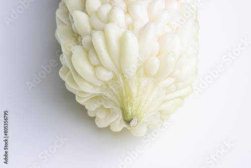 Closeup of a fresh white bitter melon isolated on a white background. Bitter melon (Momordica charantia) is a tropical and subtropical vine of the family Cucurbitaceae grown for its edible fruit. photo