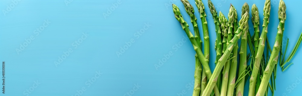 Fototapeta premium bunch of fresh green asparagus on a solid background 