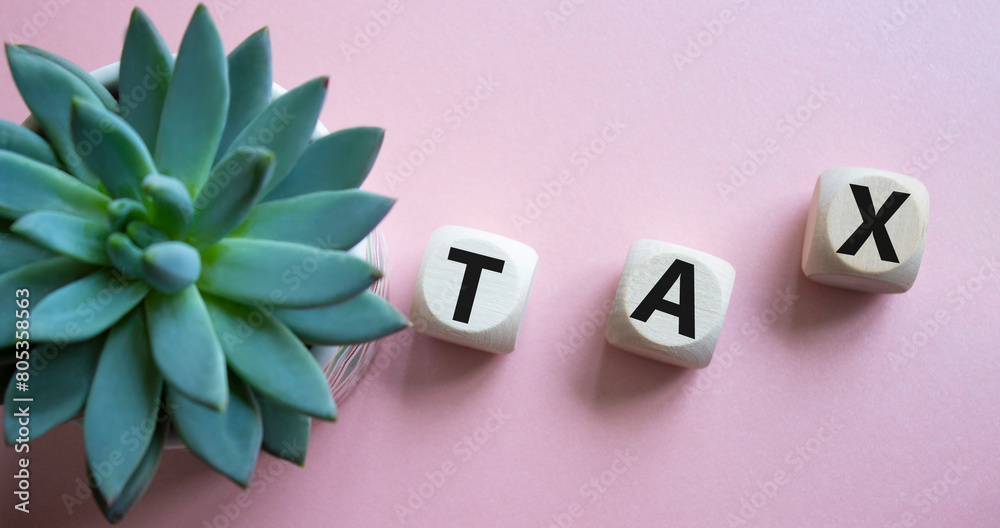 Tax symbol. Wooden cubes with word Tax. Beautiful pink background with succulent plant. Business and Finance and Tax concept. Copy space. Tax symbol. Wooden cubes with word Tax. Beautiful pink background with succulent plant. Business and Finance and Tax concept. Copy space.