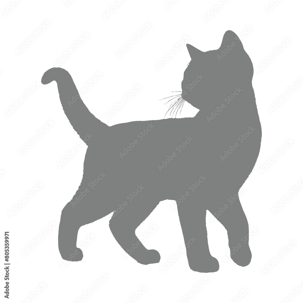 Vector illustration of cat silhouette
