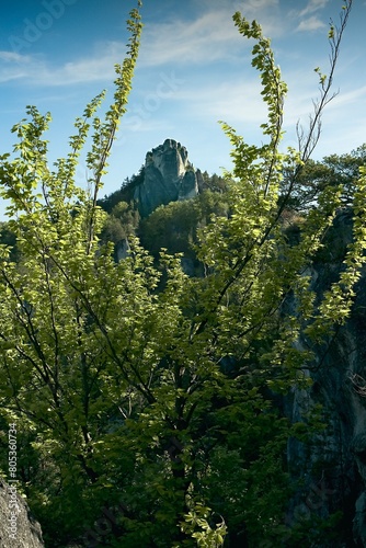 Spring green mountain landscape with unique rock towers. View of a green valley with forests and rocks. The Sulov Rocks, national nature reserve in northwest of Slovakia, Europe.