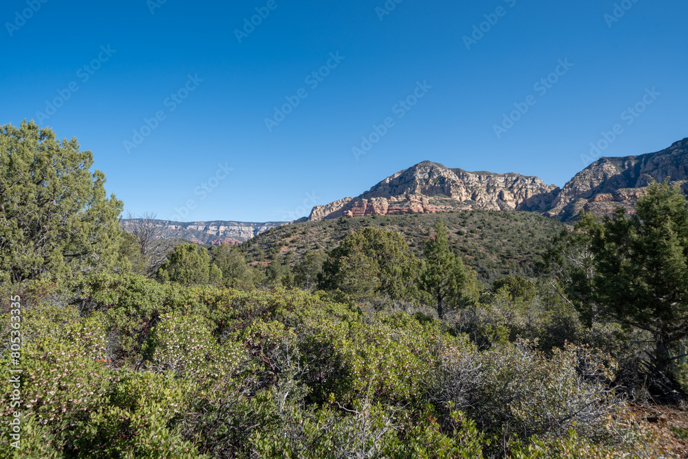 Scenery along the Brins Mesa trail in Sedona Arizona Scenery along the Brins Mesa trail in Sedona Arizona