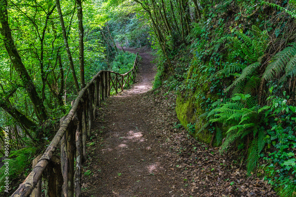 Obraz premium Scenic sight in the natural monument 