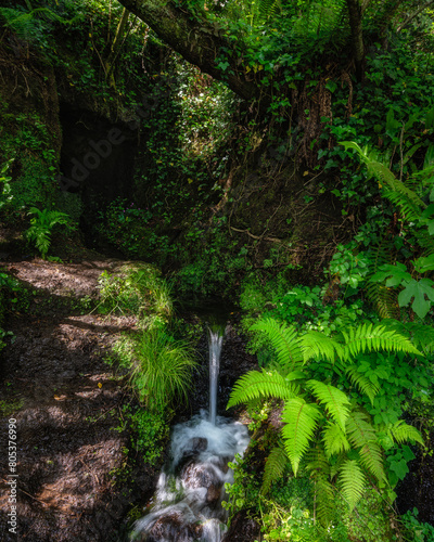 Scenic sight in the natural monument 