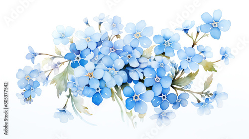 A delicate watercolor artwork capturing the gentle beauty of a cluster of forgetmenot flowers
