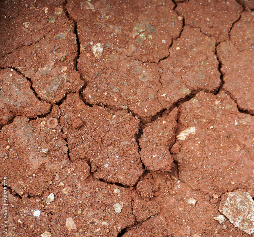Fototapeta premium Dry cracked soil land or ground on outdoor environment. Summer season no water environmental condition.