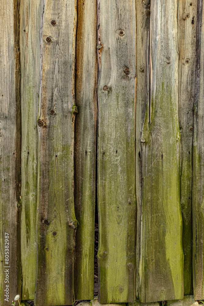Fototapeta premium old wood texture
