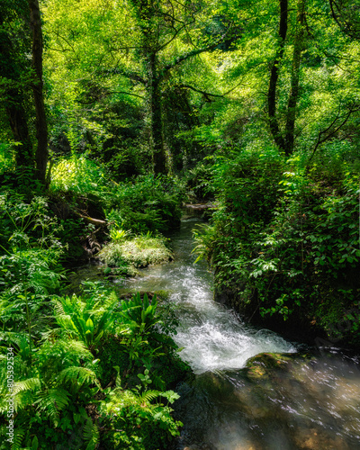 Scenic sight in the natural monument  Forre di Corchiano   near the village of Corchiano  in the Province of Viterbo  Lazio  Italy.