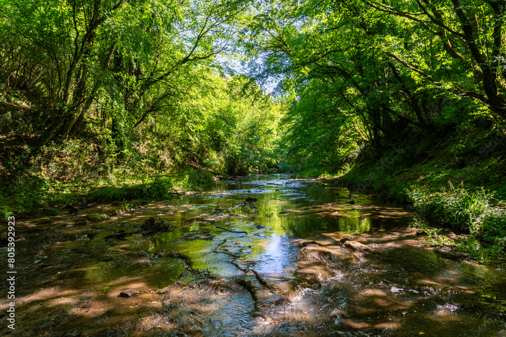 Beautiful scene in the Veio Regional Park, near Formello, Province of Rome, Lazio, Italy. Beautiful scene in the Veio Regional Park, near Formello, Province of Rome, Lazio, Italy.
