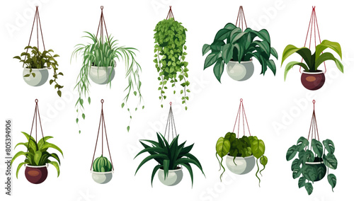 Collection of beautiful plants hanging in various ceramic pots isolated on white background