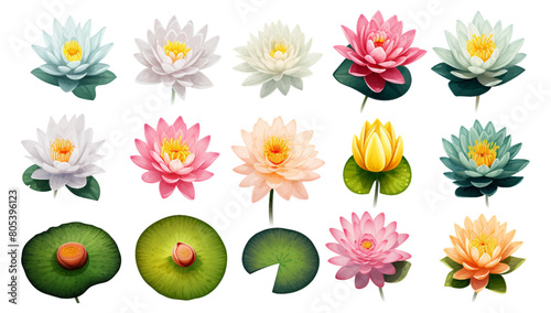 3d set of white and pink lotus flowers, stems and leaves for advertising and invitations vector illustration