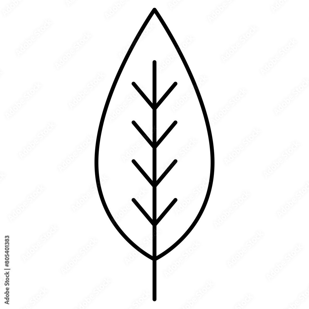 leaf icon isolated on white leaf icon isolated on white