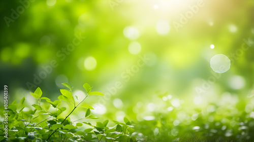 Grass Background with Blurred Bokeh and Sun Natural Abstract Green Field with Meadow Grass