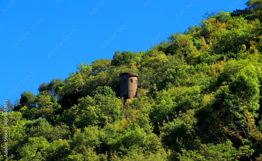 An ancient observation tower on a mountainside overgrown with dense vegetation in Montenegro
