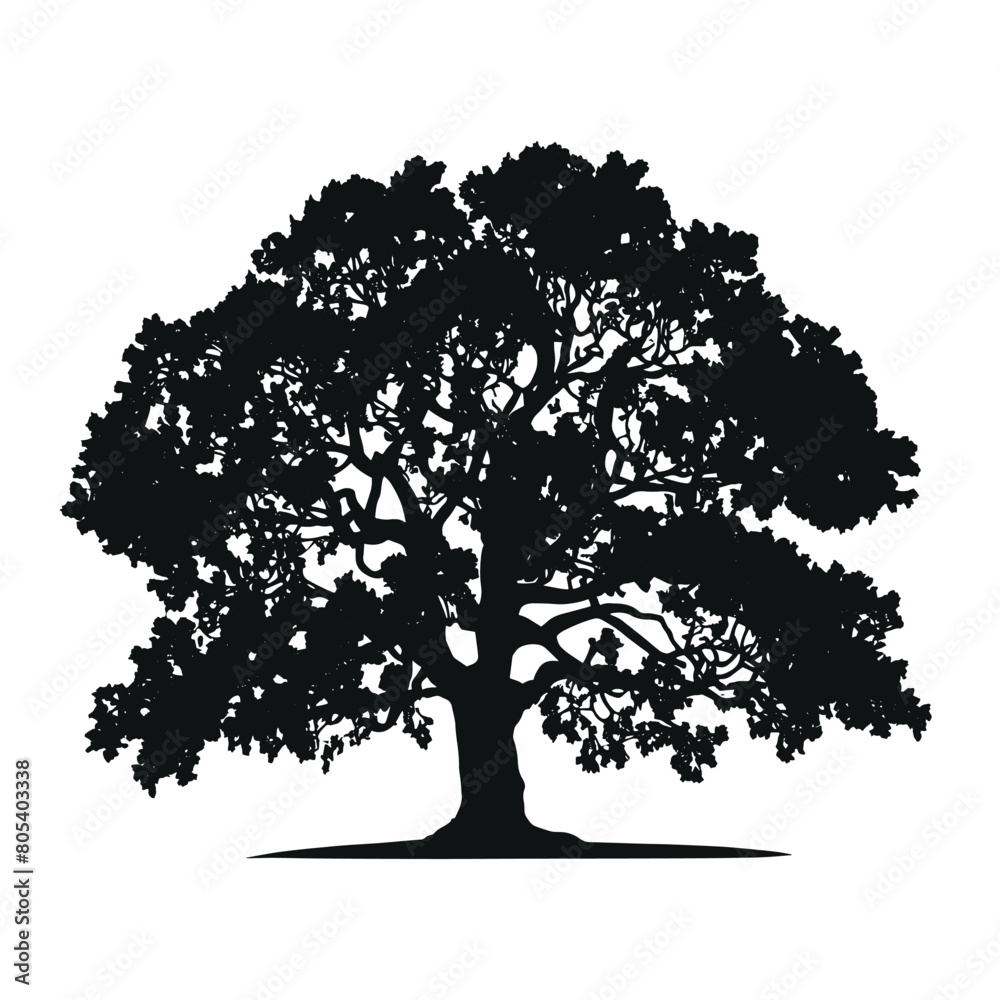 vector hand drawn oak tree silhouette
