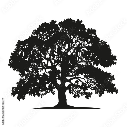 vector hand drawn oak tree silhouette